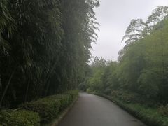 -大渡口区义渡公园