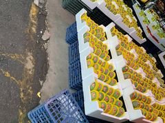 -胡家庙水果批发市场