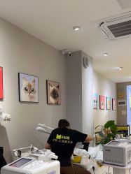 -洗脸猫·洗脸吧