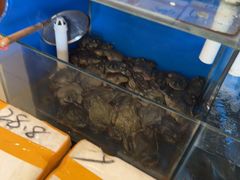 -秦记香辣蟹(松榆里店)