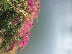 景点-王借岗森林公园