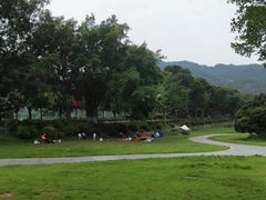 -风云岭森林公园