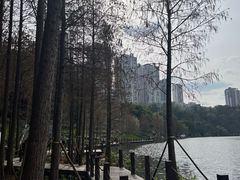 -重庆彩云湖湿地公园