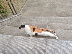-安徽大学(磬苑校区)