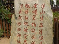 -怪坡茶馆