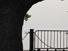 -西湖游船