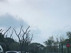 -复旦大学附属华山医院(浦东院区)