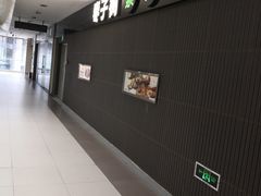 -枣子树素餐厅(铂金城店)