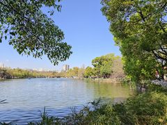 -翠湖公园