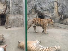 -南昌动物园