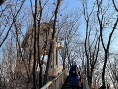 -帽儿山国家森林公园