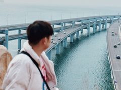 -星海湾跨海大桥