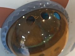 -宠颐生宠物医院·异宠猫科内科·诊疗中心宠巢店