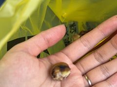 -粒上皇(常德高山街店)