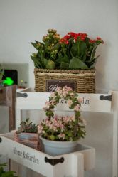 -Eling伊林彩妆·化妆培训(河西奥体店)