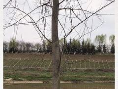 -洨河生态公园