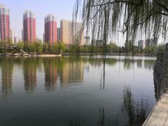 -迎泽公园