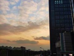 -京香轩·中餐厅(上海中庚聚龙酒店)