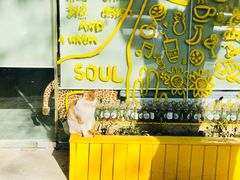 -五进制 Coffee Shop