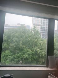 体验后-上海首尔丽格医疗美容医院