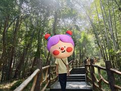 -青龙山国家森林公园