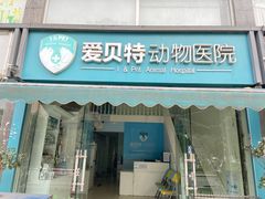 -爱贝特动物医院·猫口炎专科