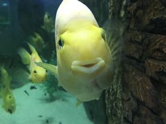 -洛阳龙门海洋馆