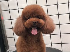 -太原东方动物医院(小店分院)