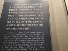 -荆州博物馆