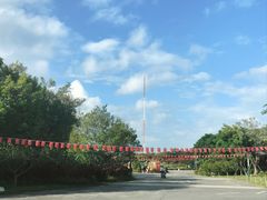 -福田红树林生态公园