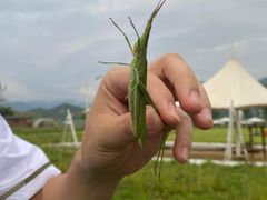 -潭柘厚院&山顶烤肉(潭柘寺店)