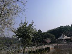 -南国桃园旅游度假区