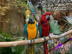 -杭州开元森泊度假乐园