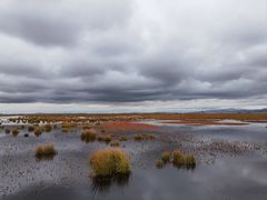 -花湖生态旅游区