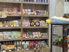 -四月宠物医院·猫专科·心脏专科·内科(转塘店)