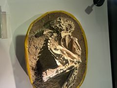 -房山世界地质公园博物馆