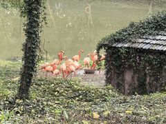 -合肥野生动物园