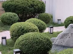 -福院