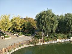 -大兴滨河森林公园