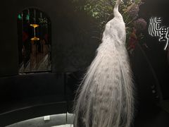 -滇野云南野生菌餐厅(陕西南路店)