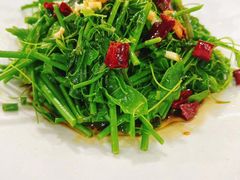 -张鸟园农家乐(张鸟园店)