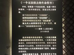 -816工程景区