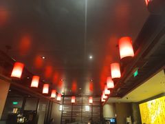 -捞王猪肚鸡火锅(财富中心店)