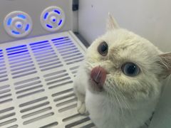 -贝利宠物医院·骨科·眼科·肿瘤转诊中心(南坪诊疗中心)
