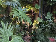 -Sirena海妖日咖夜酒