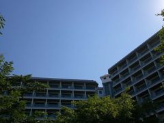 -河源万绿湖美思威尔顿酒店