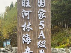 -汤旺河林海奇石景区