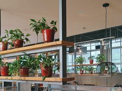 -比格比萨自助(国展店)