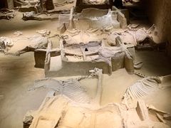 -洛阳周王城天子驾六博物馆