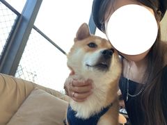 -怪兽屋·羊驼·猫咖·狗咖(俊华广场店)